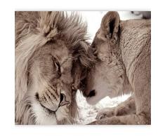 murando Fotomurales autoadhesivos Leon 392x280 cm Papel Pintado Decoración de Pared Murales Pegatina decorativos adhesivos 3d moderna de Diseno Fotográfico - Animales g-B-0034-a-b