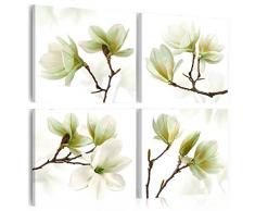 murando - Cuardo 60x60 cm - Magnolia - Impresion en calidad fotografica - Cuadro en lienzo tejido-no tejido - Flor b-A-0259-b-l