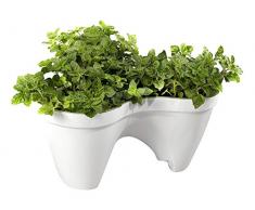 Keter - Macetero triple aplilable Ivy, Color Blanco
