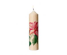 Flor de Pascua de Navidad vela de adviento