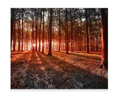 murando Fotomurales 350x256 cm XXL Papel pintado tejido no tejido Decoración de Pared decorativos Murales moderna Diseno Fotográfico bosque sol arboles naturaleza paisajes c-B-0027-a-d