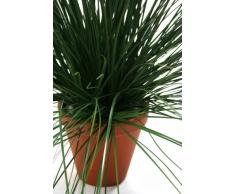 Closer To Nature C019D - Planta de Hierba artificial, 60 cm
