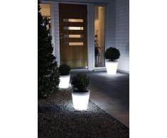 Conrad 7637 - Macetero LED para exterior, luz blanca 28 x 28