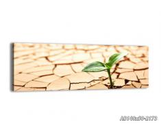 Cuadro sobre lienzo - 140x50 cm - Impresión en lienzo - Panorama - de una sola pieza - listo para colgar - en un marco - Foto número 2173 - AB140x50-2173