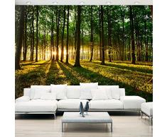 Fotomural 350x245 cm - 3 tres colores a elegir - Top XXL Papel tejido-no tejido. Fotomurales - Papel pintado Foresta Naturaleza Paisaje árboles c-B-0127-a-b