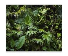 murando Fotomurales Efecto 3D 400x280 cm XXL Papel pintado tejido no tejido Decoración de Pared decorativos Murales moderna de Diseno Fotográfico Tropical Monstera b-B-0312-a-a