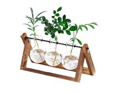 Houkiper Decoración de jarrones de madera, planta de cultivo hidropónico vintage jarrón escritorio decoración de mesa Bonsai decoración de la planta (3 x Botella de vidrio)