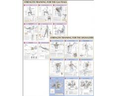 Strength Training Anatomy Poster Series