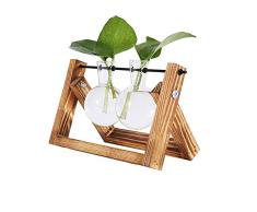 QINGJIANG Jarrón de Cristal hidropónico Creativo, jarrón Transparente para Plantas de Escritorio, terrario, jarrón con Soporte Giratorio de Madera, decoración del hogar