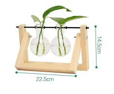 Haihuic Terrario de Escritorio con Soporte de Madera, Jarrón de Aire Bulbo jarrón de Vidrio y Soporte Giratorio de Metal para Plantas de hidroponía de huertas caseras Decoración de la Boda