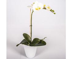 Orquídea Phalaenopsis artificial LAHNA en maceta, blanco, 45 cm - Planta decorativa / Flores sintéticas - artplants