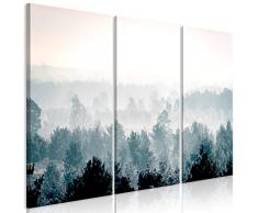 murando - Cuadro en Lienzo Bosque Niebla 135x90 - Impresión de 3 Piezas Material Tejido no Tejido Impresión Artística Imagen Gráfica Decoracion de Pared - PaisajeMontanas c-B-0368-b-e