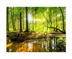 Papel Pintado Fotográfico Bosque 396 x 280 cm Tipo Fleece no-trenzado Salón Dormitorio Despacho Pasillo Decoración murales decoración de paredes moderna - 100% FABRICADO EN ALEMANIA - 9141012a