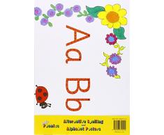 Jolly Phonics Alternative Spelling & Alphabet Posters: in Precursive Letters (British English edition)