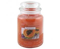 Caroline velas "tropical Fusion" de cristal para velas en tarro, Naranja