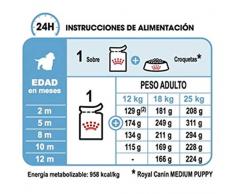ROYAL CANIN Comida húmeda Puppy Medium Trozos de Carne en Salsa para Cachorros de Razas Medianas - Caja 10 x 140 gr (Bolsitas)