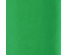 Paper Mate Flair - Rotulador, pinza, ppunta mediana de 0.7 mm, caja de 12, color verde