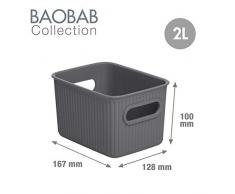 PracticDomus Pack de 4 Cestas de Ordenación Multiusos Tatay Baobab Collection. Tamaño S 2L. Color Gris Antracita