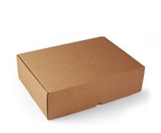 Selfpackaging Caja Rectangular automontable en cartón microcanal Color Kraft. La Caja envíos Postales - XL