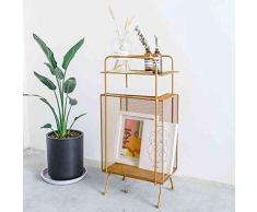 Estantes de pared MEIDUO Literature Rack Organizer Malla de Acero Revistero/Literature Rack 3 Colores Muy Durable (Color : Oro)