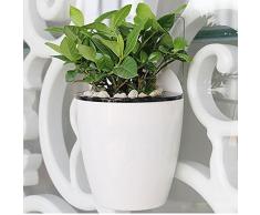 sungmor jardinería 3 piezas Creative para colgar maceta maceta con sistema de autorriego, diseño de, de plástico, de pared para plantas w/largo tiempo función de almacenamiento de agua