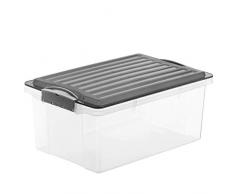 Rotho 1767705094 - Caja de almacenaje compacta con Tapa, de plástico, plástico, Transparente y Gris, A4 / 13 l