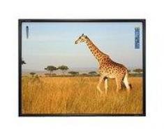Promethean Pizarra Interactiva Promethean AB10T78D ActivBoard Touch