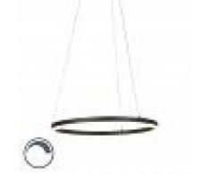 Paul Neuhaus Lámpara colgante negra 60cm LED y regulador - ANELLO