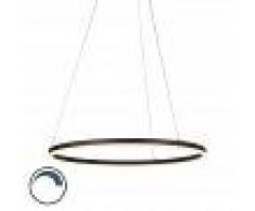 Paul Neuhaus Lámpara colgante negra 80cm LED y regulador - ANELLO