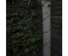 Kaemingk Guirnalda de exterior 360 blanco cálido LED 27 metros exterior