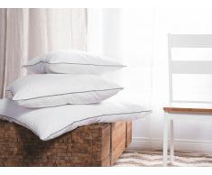 Almohada en algodón Japara 80x80 cm DIRAN