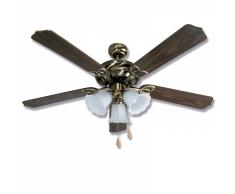 Ventilador de techo moira