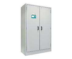 neoLab 1-0403 Typ30 - Armario de Seguridad (2 Puertas y 6 cajones, 324 kg, 1195 x 595 x 1960 mm), Color Gris Claro
