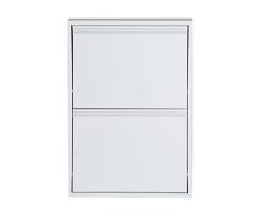 Lastdeco - Zapatero NIJAR | Mueble Zapatero - Zapatero Metalico de Acero 2 Cajones - Color Blanco - 50 x 15 x 71 cm