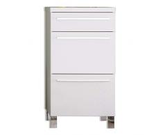 trendteam DY56001 Armario cómoda Blanco Brillante, Ancho x Alto x 54 x 100 x 35 cm