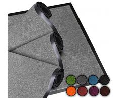 LucaHome Felpudo Entrada Home Interior y Exterior Entrada a casa | Alfombra Exterior para Puerta Entrada casa, Lavable, Acolchado, Antideslizante, Pasillo, Cocina, Dormitorio (Plata 2 und, 60x80cm)