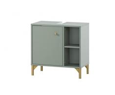 Schildmeyer Ando Armario para Lavabo, Madera de ingeniería, Pistacho/Oro, 60,2 x 33 x 60,3 cm