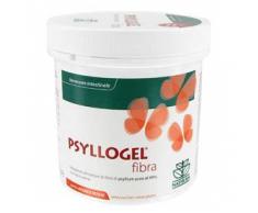 NATHURA SpA a socio unico Suplemento 170gr Psyllogel fibra Roja Naranjas Jarron