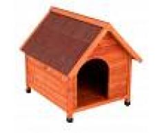 bitiba Caseta de madera Spike Classic - S: 54 x 77 x 67 cm (LxAnxAl)