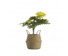 SuperStudio Cesta Decorativa BASKET -Small-