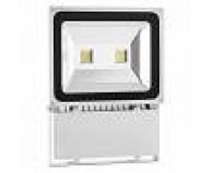 Lightcraft Alphalux Foco LED blanca 100 W luz exterior gris (RBL2-ALPHALUX-SNOW-W)