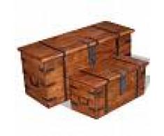 vidaXL Set de baúl de almacenamiento de madera maciza 2 unidades