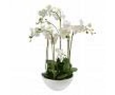 Emerald Orquídea artificial blanca 80 cm 20.335C