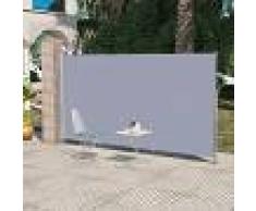 vidaXL Toldo lateral de jardín o terraza 180 x 300 cm gris