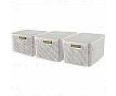 Curver Caja de almacenaje con tapa Style 3 uds L blanco 240656