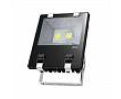 Proyector LED 100W de Exterior IP65 - ORION91