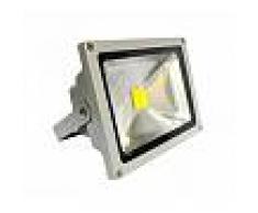 Proyector Led de exterior MICROLED, 50W, Blanco frío