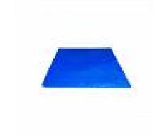 Alfombras descontaminantes con barrera bacteriana-fungicida-antipolvo (115 cm x 45 cm - Caja de 8 Tapetes)