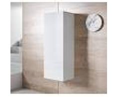 Armario colgante modelo Luke V1 (40x126cm) color blanco
