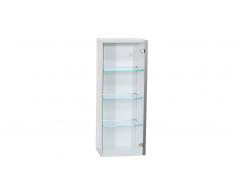 MobilierMoss Cross - Vitrina suspendida con luces Leds y puerta de vidrio